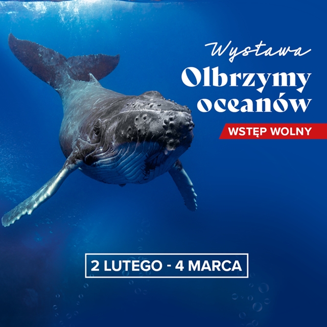 20230202-wystawa-olbrzymy-oceanow