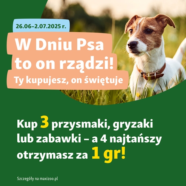 Maxi Zoo: promocja z okazji Dnia Psa