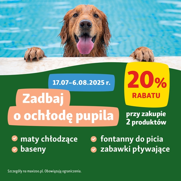 Maxi Zoo: pamiętaj o zwierzętach latem - wakacyjny niezbędnik pupila