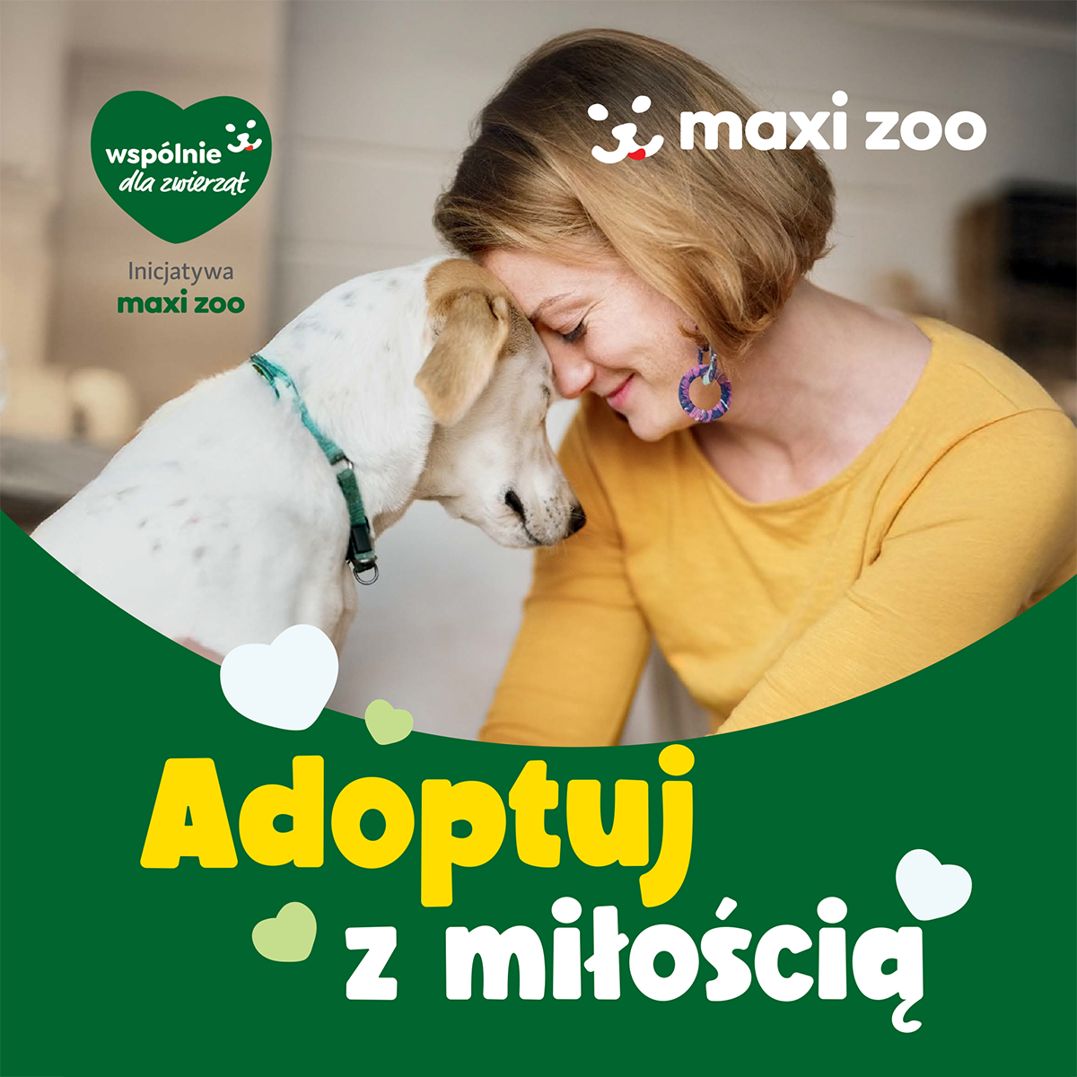 MAXI ZOO i schroniska łączą siły, by pomóc zwierzętom znaleźć dom